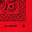 bandana-classic-red-black-2-4bed88e4-b9f5-11ea-8db1-1831bf4e2dbb-jpg-36433-jpg-55796-800x800.webp