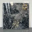 myrholt-blandede-meninger-og-aforismer-lp-gold-with-black-marbled-vinyl-152768-1920x1920.webp