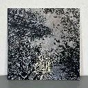 myrholt-blandede-meninger-og-aforismer-lp-silver-with-black-marbled-vinyl-152763-1920x1920.webp