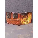 nokturnal-mortum-golos-stali-cd-outside-1536-2048-f86c6219-dcaf-11ea-8db1-1831bf4e2dbb-jpg-29059-jpg-48367-800x800.webp