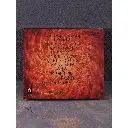nokturnal-mortum-istyna-cd-back-1600-1200-cc3eaeec-9b66-11ea-8db0-1831bf4e2dbb-jpg-30560-jpg-49958-jpg-135871-jpg-154510-1920x1920.webp