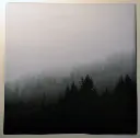 R-2387105-1592869041-6832.webp
