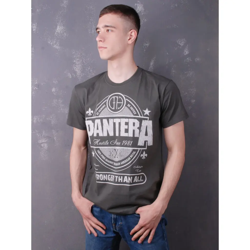 Футболка Pantera - Stronger Than All сіра