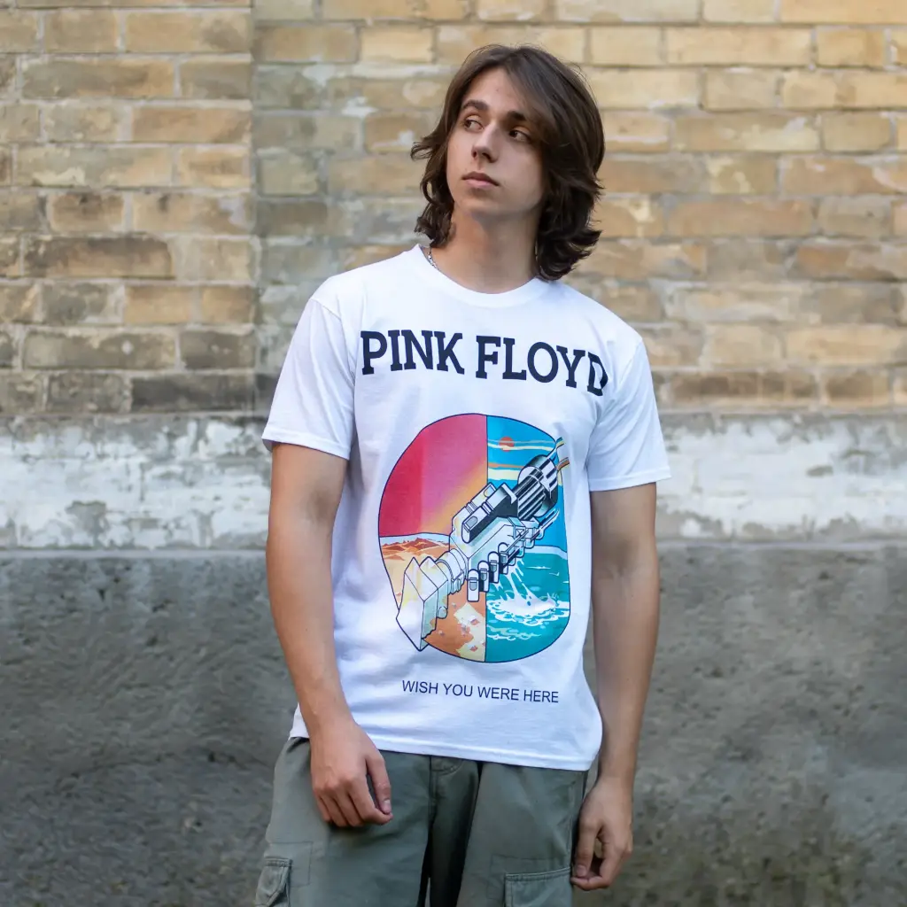 Футболка Pink Floyd - Wish You Were Here біла
