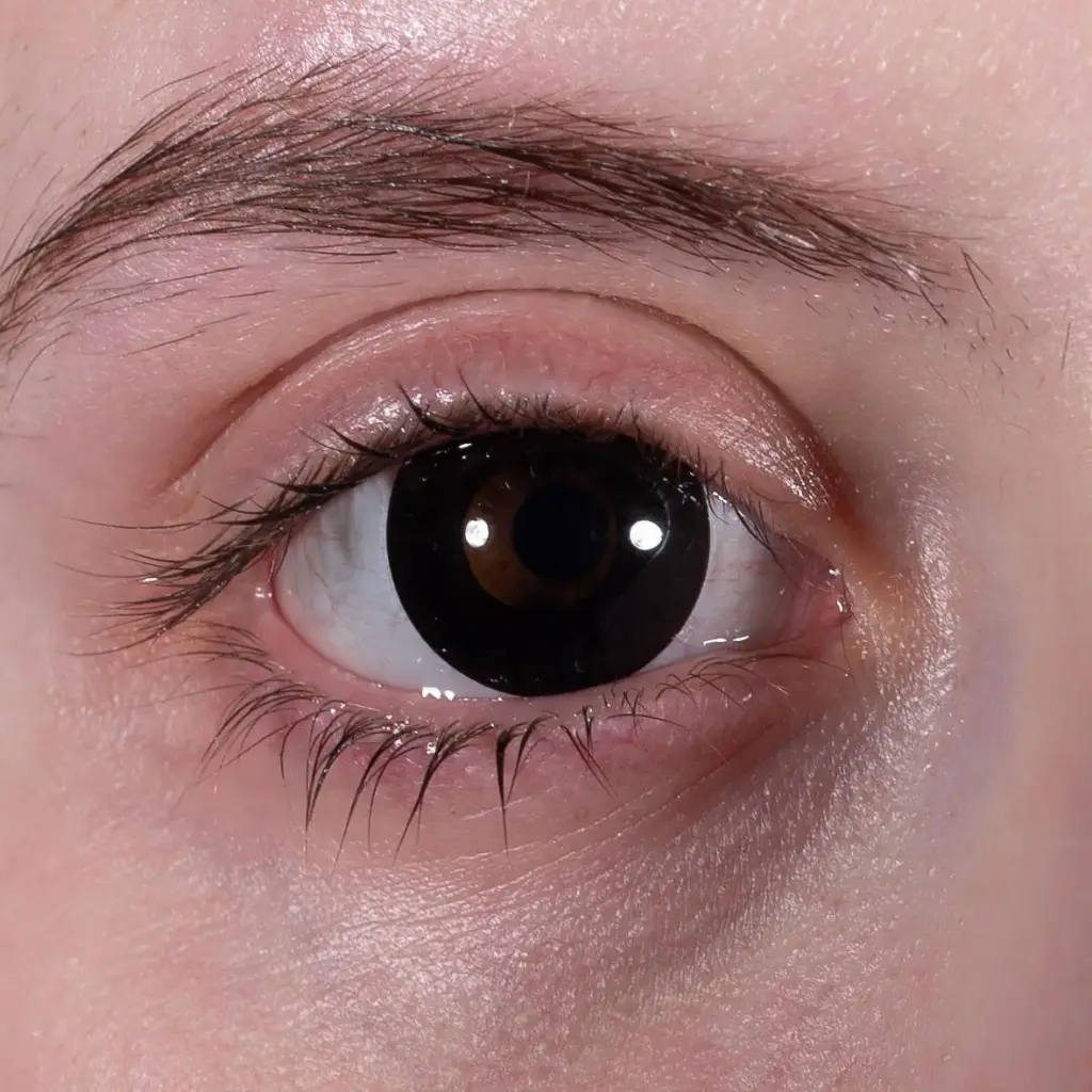 Контактні лінзи PURE-BLACK чорні