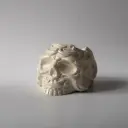 Гіпсове кашпо Череп середній білий