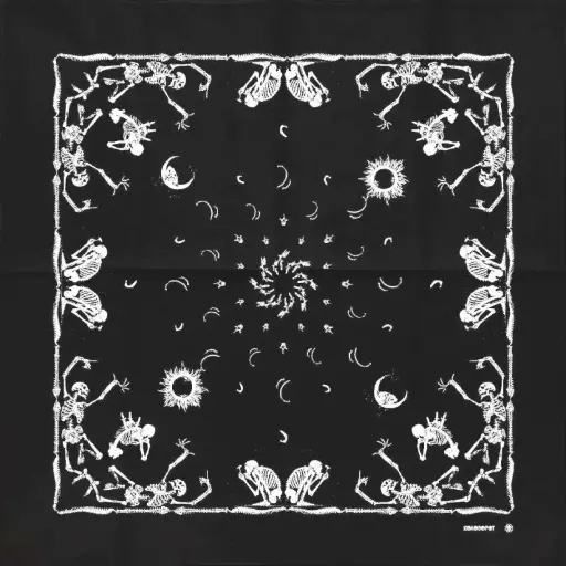 [1171] Бандана Коловорот Скелети та кістки чорна