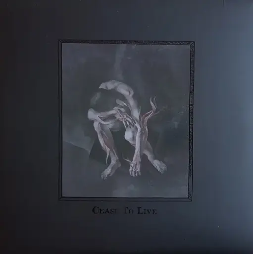 [1607] Вінілова платівка Luror ‎- Cease To Live