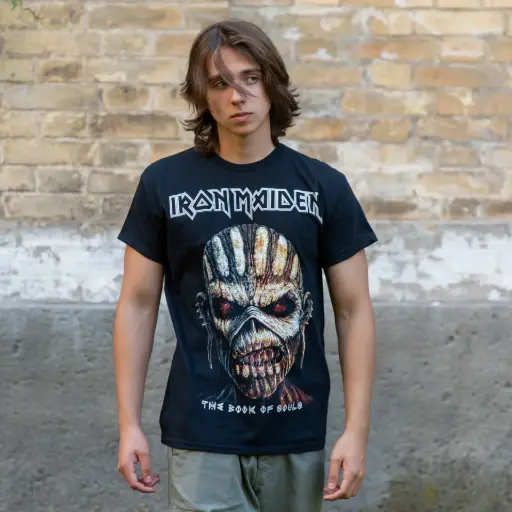 [10815] Футболка Iron Maiden - The Book Of Souls чорна