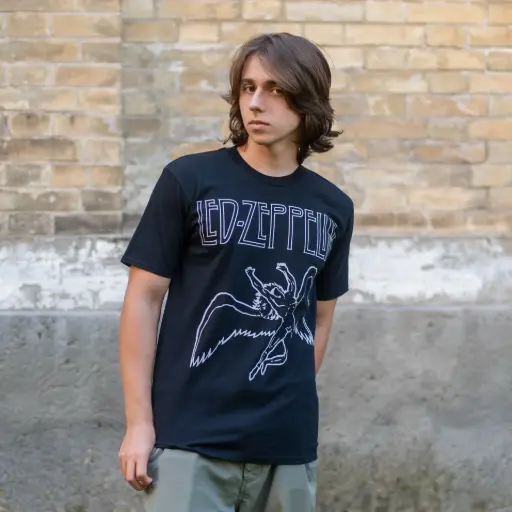 [11585] Футболка Led Zeppelin - Swan Song чорна